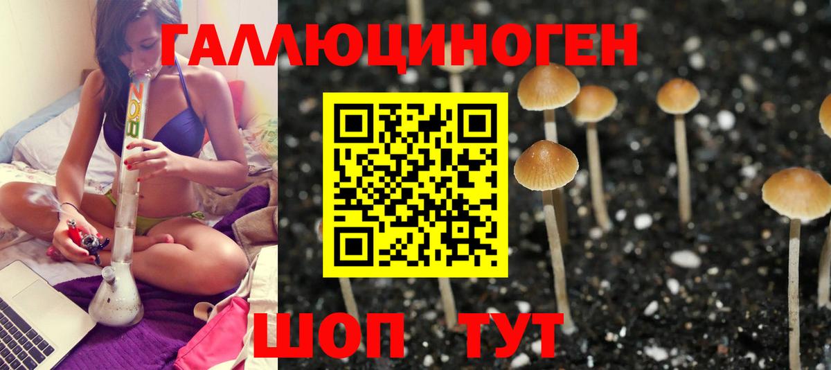 Обь  Галлюциногенные грибы Magic Shrooms  Вход с VPN 